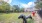 Large fenced in bark park with agility equipment surrounded by trees.